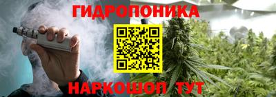дживик Аша