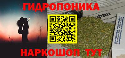 шишки Баксан