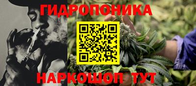 дживик Аша